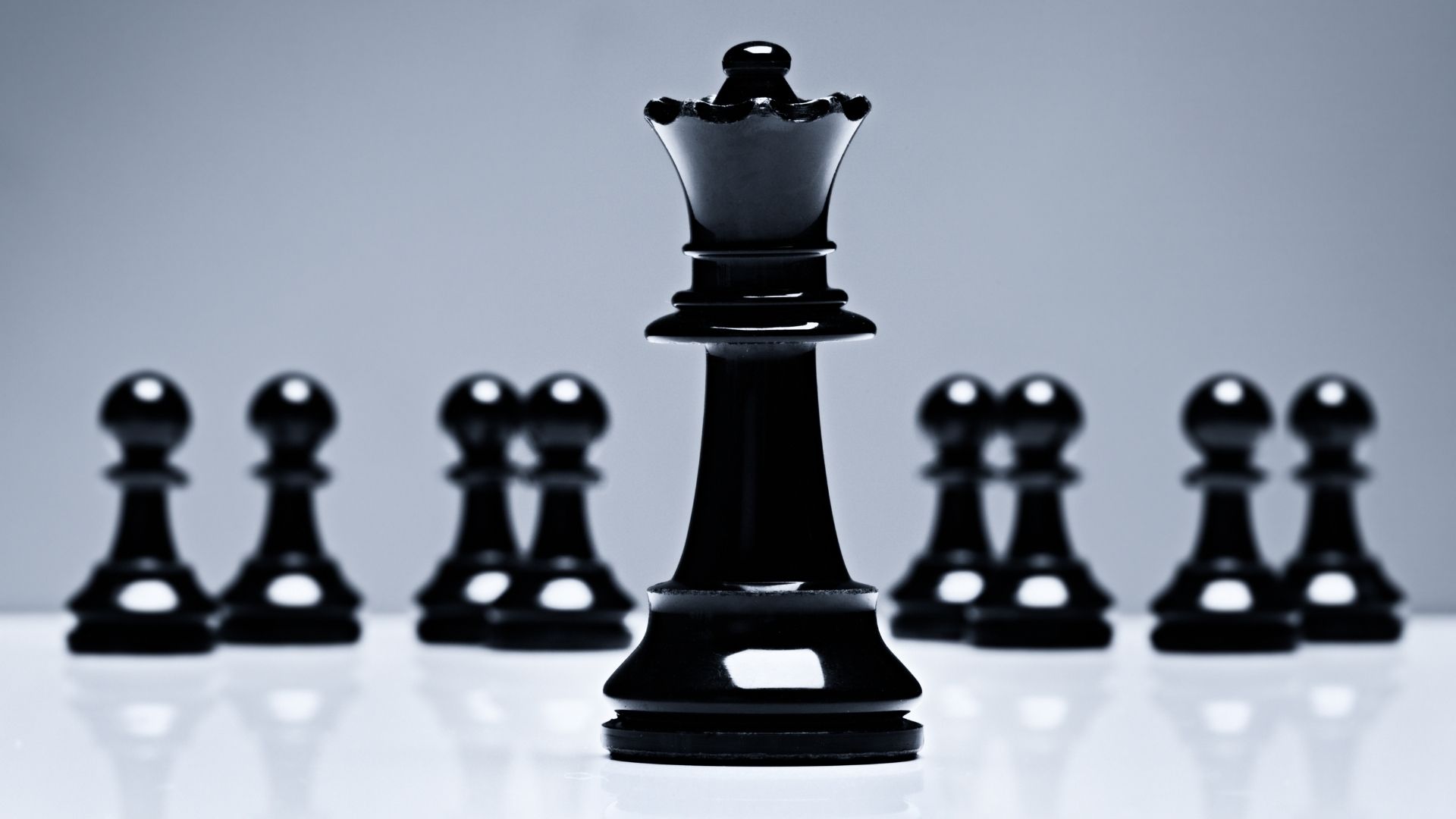 About the Founder Banner